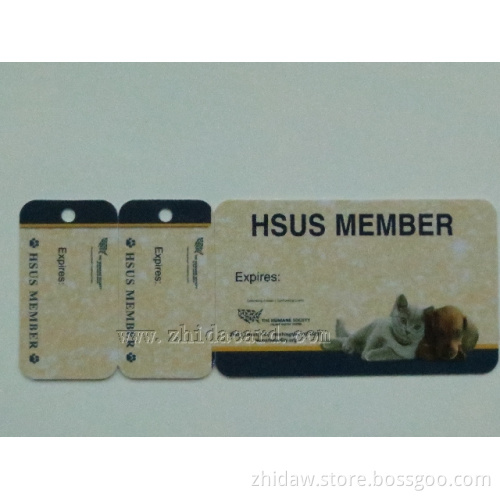 Promotion Plastic PVC Card